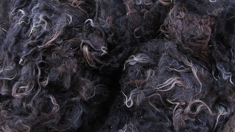 Dark brown wool